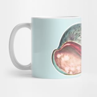 Illustrated sea shell snail. Colorful vintage drawing Mug